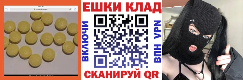 Ecstasy Philipp Plein  Купить закладки  Каменногорск 