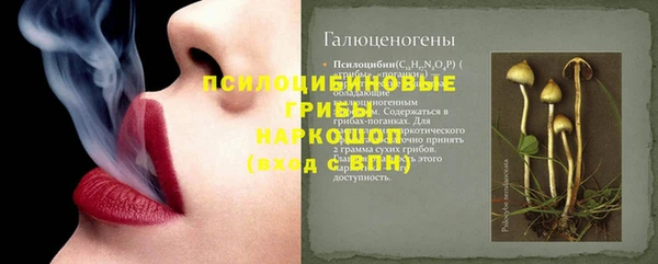 прущая мука Богданович