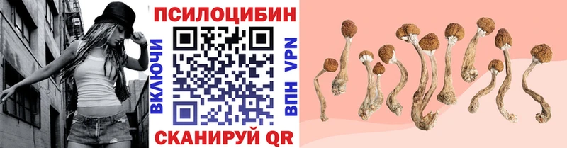 Псилоцибиновые грибы Psilocybine cubensis Каменногорск